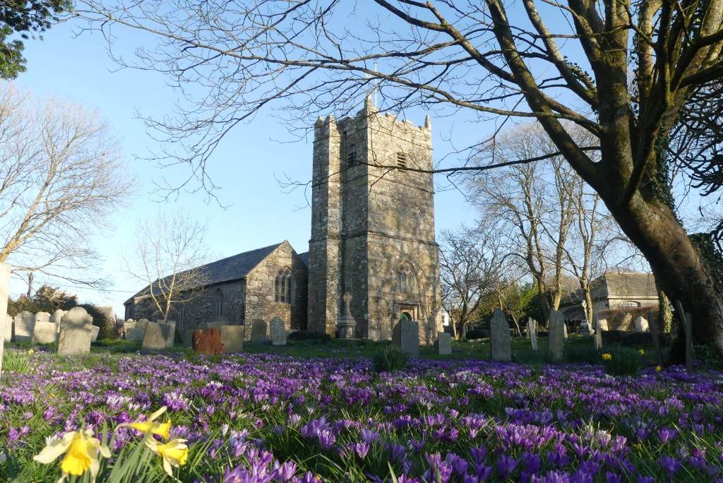 Historic stone church tower above a churchyard of crocuses and daffodils in spring